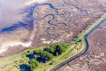 Vue oblique de Paysage d'eau saumâtre sur Isola Marinetta à Lido di Grado à Lignano Sabbiadoro à Lignano Sabbiadoro dans le département Udine, Italie