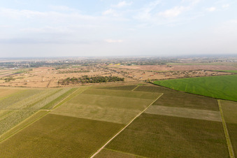 Photographie aérienne de Il Cristo dans le département Frioul-Vénétie Julienne, Italie