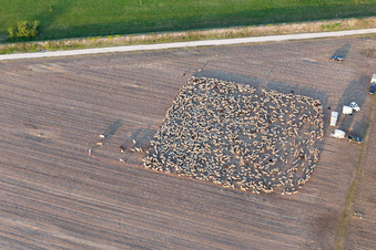Photographie aérienne de San Leonardo dans le département Frioul-Vénétie Julienne, Italie