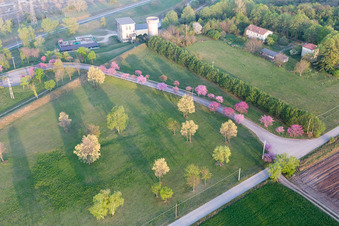 San Leonardo dans le département Frioul-Vénétie Julienne, Italie vue d'en haut