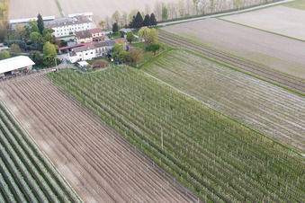 Domanins dans le département Frioul-Vénétie Julienne, Italie d'en haut