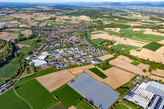Vue aérienne de Quartier Scherzheim in Lichtenau dans le département Bade-Wurtemberg, Allemagne