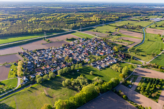 Sinzheim/Halberstung