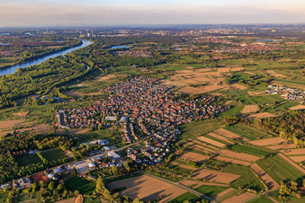 Vue aérienne de Vue d'ensemble des prairies rhénanes depuis le sud-ouest à Au am Rhein dans le département Bade-Wurtemberg, Allemagne