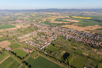 Vue aérienne de Champs agricoles et terres agricoles à Steinfeld dans le département Rhénanie-Palatinat, Allemagne