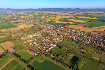 Vue aérienne de Vue de la ville depuis l'est à Steinfeld dans le département Rhénanie-Palatinat, Allemagne