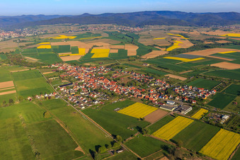 Vue aérienne de Vue de la ville depuis l'est à Schweighofen dans le département Rhénanie-Palatinat, Allemagne