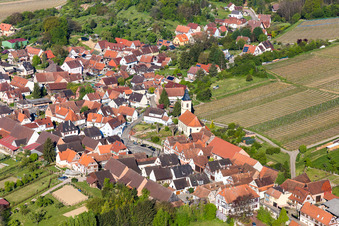 Photographie aérienne de Champs agricoles et terres agricoles à Rott dans le département Bas Rhin, France