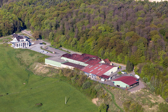Vue aérienne de Coopérative de vignerons Cave Vinicole de Cleebourg à Rott dans le département Bas Rhin, France