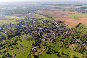 Lampertsloch dans le département Bas Rhin, France vu d'un drone