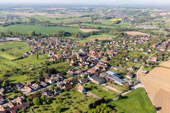 Photographie aérienne de Champs agricoles et terres agricoles à Gunstett dans le département Bas Rhin, France