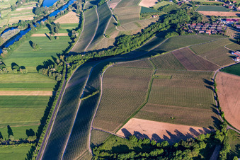 Vue aérienne de Vignoble Neuerer Glatzen à le quartier Neuses am Berg in Dettelbach dans le département Bavière, Allemagne