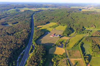 Vue aérienne de Domaine viticole Behringer à Abtswind dans le département Bavière, Allemagne
