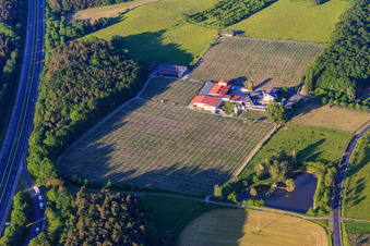 Vue aérienne de Domaine viticole Behringer à Abtswind dans le département Bavière, Allemagne