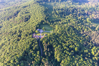 Vue aérienne de Ferme dans la forêt à Abtswind dans le département Bavière, Allemagne