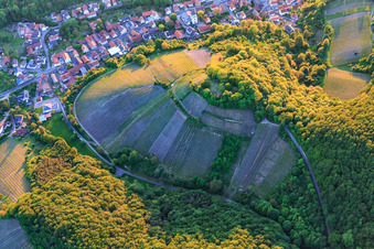 Vue aérienne de Vignoble sur la pente raide de l'Ebersberg à le quartier Zell am Ebersberg in Knetzgau dans le département Bavière, Allemagne