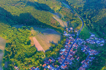 Vue aérienne de Vignoble sur l'Ebersberg à le quartier Zell am Ebersberg in Knetzgau dans le département Bavière, Allemagne