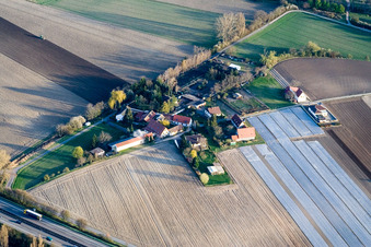 Vue aérienne de Spitzenrheinhof avec élevage de chiens corgies-aus-der-Pfalz et fauconnerie oiseaux de proie à Speyer dans le département Rhénanie-Palatinat, Allemagne