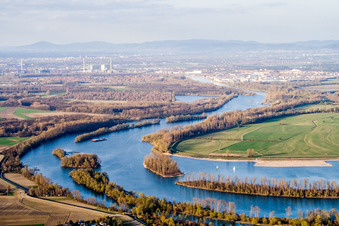 Vue aérienne de Plaines inondables sur les rives du cours de la rivière Angelhofer Altrhein à Otterstadt dans le département Rhénanie-Palatinat, Allemagne