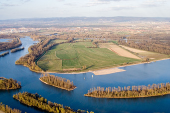 Vue aérienne de L'île de Koller sur les rives du lac Koller et du Vieux Rhin d'Otterstadt à Otterstadt dans le département Rhénanie-Palatinat, Allemagne