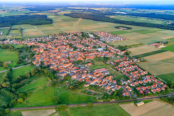 Vue aérienne de Vue de la ville depuis le nord-ouest à Steinweiler dans le département Rhénanie-Palatinat, Allemagne