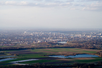 Vue aérienne de Ludwigshafen vu du sud à le quartier Rheingönheim in Ludwigshafen am Rhein dans le département Rhénanie-Palatinat, Allemagne