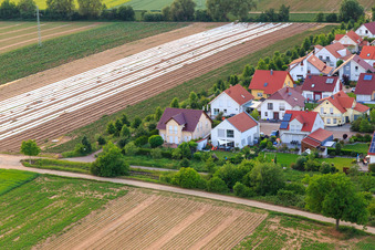 Vue aérienne de Bas-Rappenfeld à le quartier Mörlheim in Landau in der Pfalz dans le département Rhénanie-Palatinat, Allemagne
