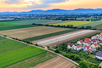 Vue oblique de Bas-Rappenfeld à le quartier Mörlheim in Landau in der Pfalz dans le département Rhénanie-Palatinat, Allemagne