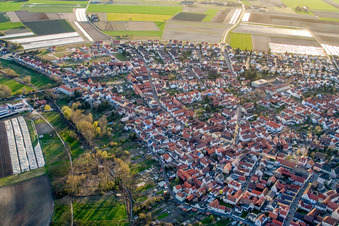 Vue aérienne de Ludwigstraße à Waldsee dans le département Rhénanie-Palatinat, Allemagne