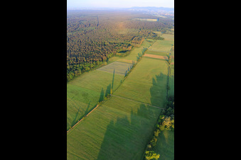 Vue aérienne de Les plaines d'Otterbach dans le Bienwald à Freckenfeld dans le département Rhénanie-Palatinat, Allemagne