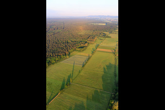 Vue aérienne de Les plaines d'Otterbach dans le Bienwald à Freckenfeld dans le département Rhénanie-Palatinat, Allemagne