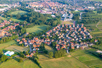Image drone de Quartier Altenstadt in Wissembourg dans le département Bas Rhin, France