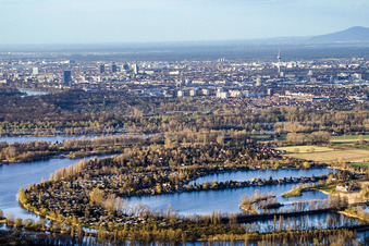 Vue aérienne de Lacs et zones riveraines avec camping et résidences de week-end de la zone de loisirs Blaue Adria dans le district de Riedsiedlung à Altrip dans le département Rhénanie-Palatinat, Allemagne