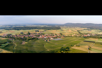 Vue aérienne de Perspective panoramique des champs et des terres agricoles à Steinseltz dans le département Bas Rhin, France