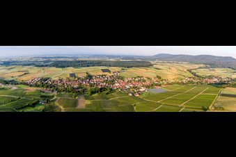 Vue aérienne de Panorama à Steinseltz dans le département Bas Rhin, France