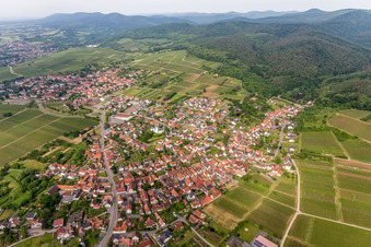 Vue aérienne de Vignobles et forêt en Rechtenbach à le quartier Rechtenbach in Schweigen-Rechtenbach dans le département Rhénanie-Palatinat, Allemagne