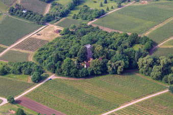 Vue aérienne de Château Saint Paul sur le Sonnenberg à Wissembourg dans le département Bas Rhin, France
