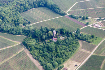 Vue aérienne de Château Saint Paul sur le Sonnenberg à Wissembourg dans le département Bas Rhin, France