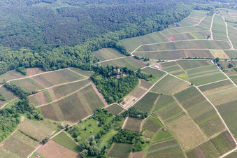 Photographie aérienne de Château Saint Paul sur le Sonnenberg à Wissembourg dans le département Bas Rhin, France