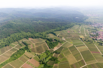 Vue oblique de Château Saint Paul sur le Sonnenberg à Wissembourg dans le département Bas Rhin, France