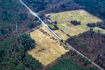 Vue aérienne de Langenberg à Wörth am Rhein dans le département Rhénanie-Palatinat, Allemagne