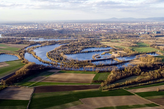 Vue aérienne de Zone de loisirs Blue Adriatic à Altrip dans le département Rhénanie-Palatinat, Allemagne