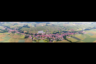 Vue aérienne de Perspective panoramique des champs et des terres agricoles à Steinseltz dans le département Bas Rhin, France