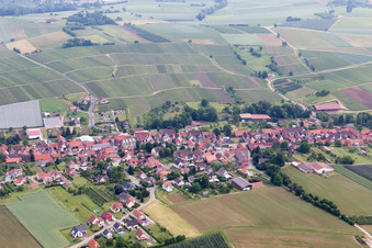 Steinseltz dans le département Bas Rhin, France d'en haut