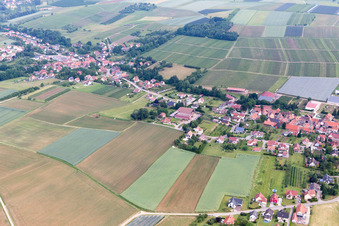 Steinseltz dans le département Bas Rhin, France vu d'un drone