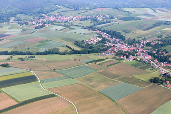 Photographie aérienne de Steinseltz dans le département Bas Rhin, France