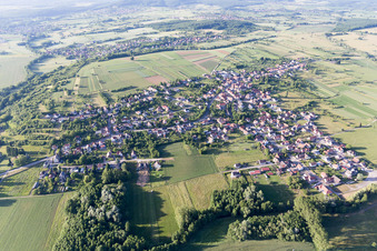 Photographie aérienne de Gunstett dans le département Bas Rhin, France