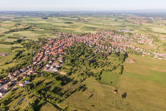 Vue aérienne de Champs agricoles et terres agricoles à Surbourg dans le département Bas Rhin, France