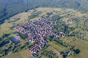 Vue d'oiseau de Quartier Büchelberg in Wörth am Rhein dans le département Rhénanie-Palatinat, Allemagne