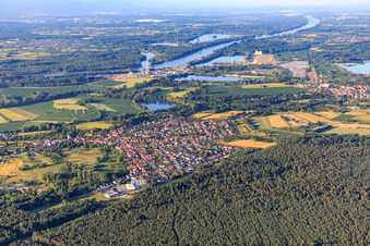 Vue aérienne de Aperçu des villes du Bienwald au Rhin depuis le nord à Berg dans le département Rhénanie-Palatinat, Allemagne